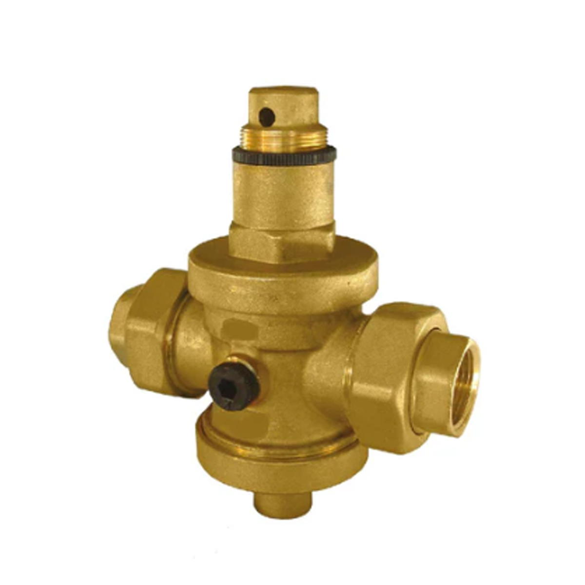 WATER PRESSURE REGULATOR WITH FITTING
