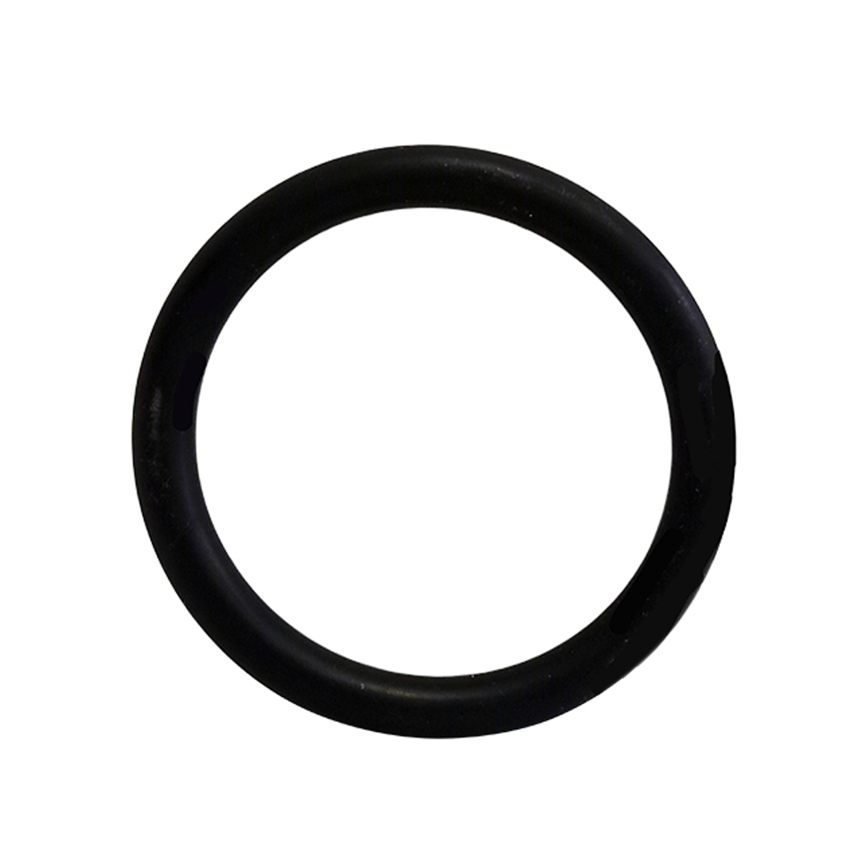 O-RING FOR FILTER BASE 124-20