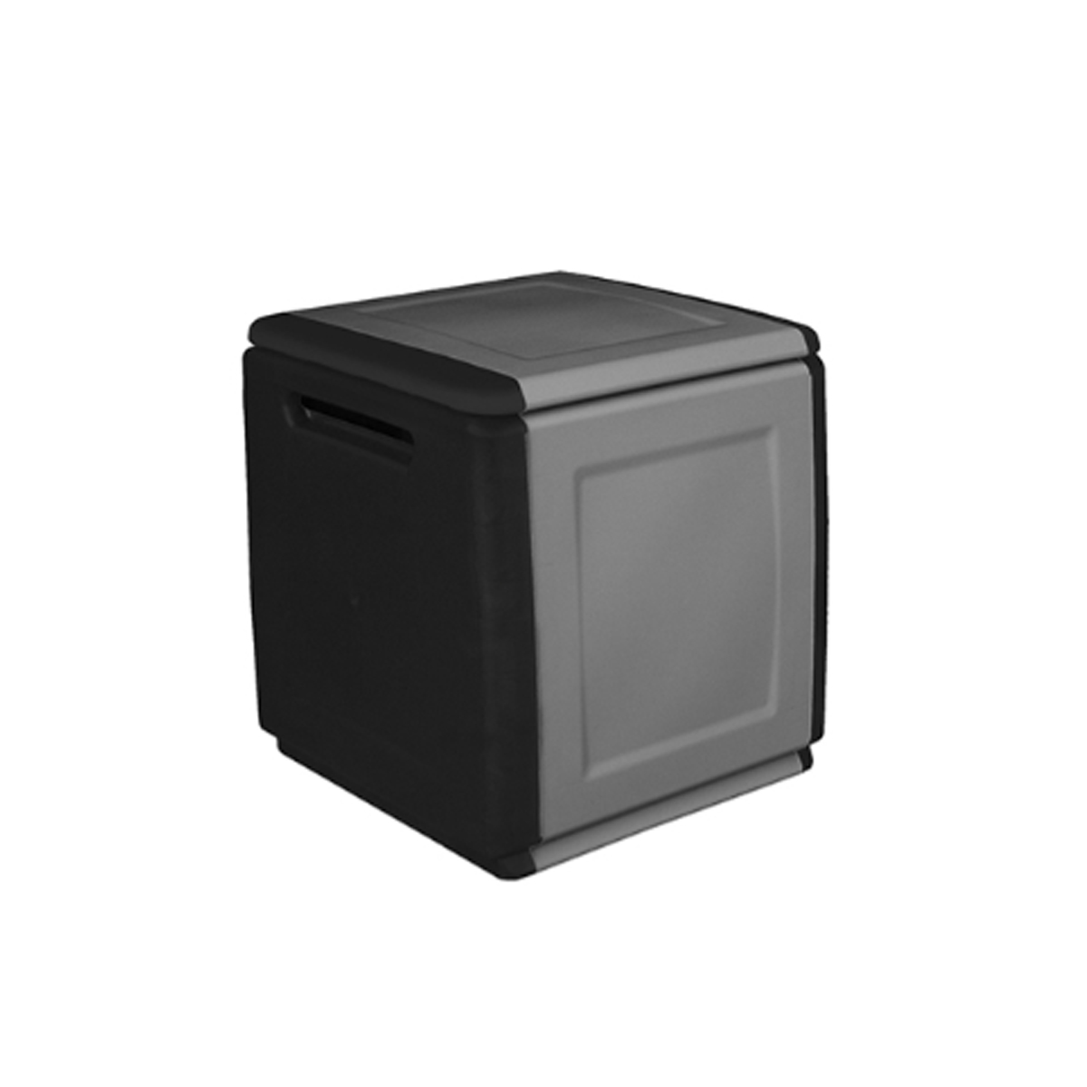 PLASTIC TRUNK GRAY/BLACK