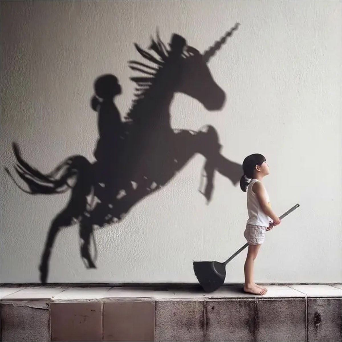 HORSEON PAINT ON CANVAS 50X1.8X50CM