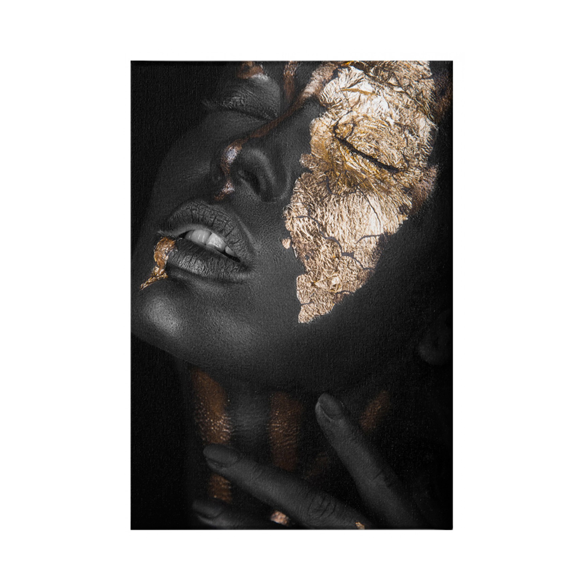 CANVAS HANGING PAINT HM 7196.01 70X50CM