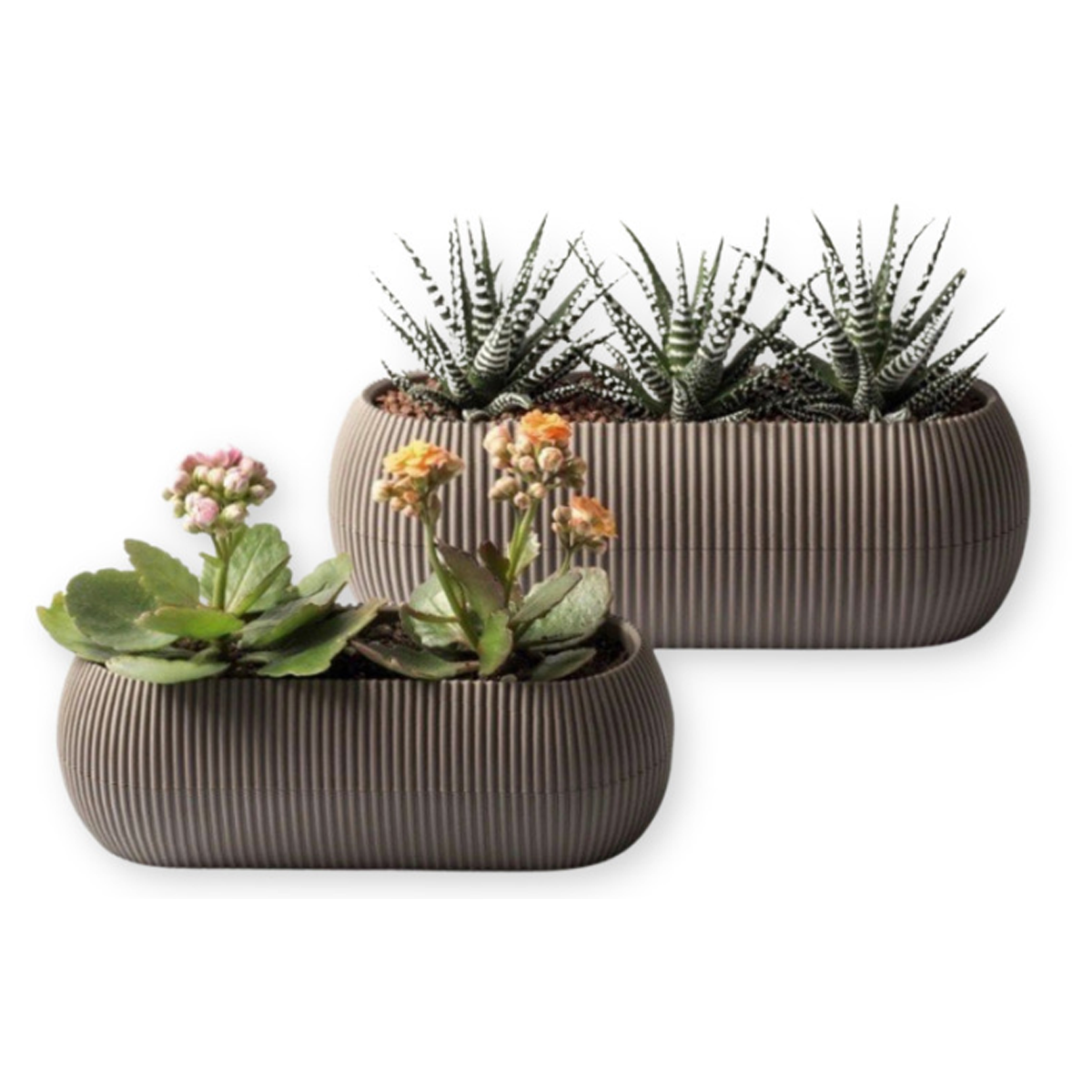 VIOSARP FLOWERPOT OVAL CORAL WITH PLATE 27.7X11.8X9.1CM 1.3L