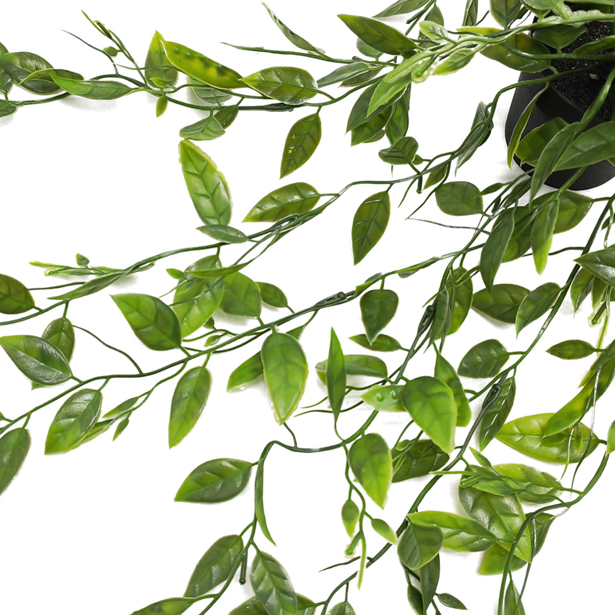 HOME & CAMP ΔΙΑΚΟΣΜΗΤΙΚΟ ΦΥΤΟ ΧΟΓΙΑ ΣΕ ΓΛΑΣΤΡΑ 55CM