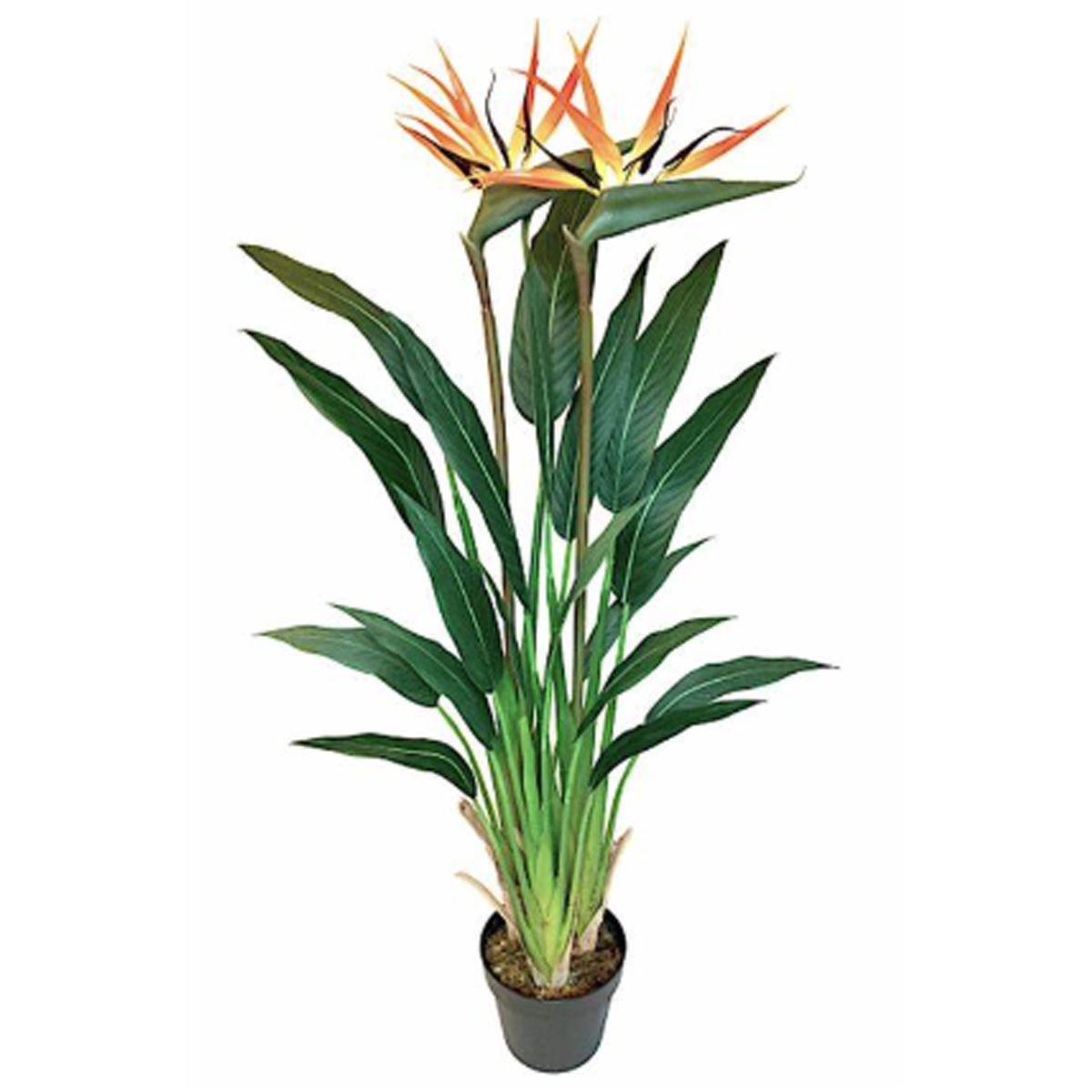 HOME & CAMP ARTIFICIAL BIRD OF PARADISE PLANT 160CM