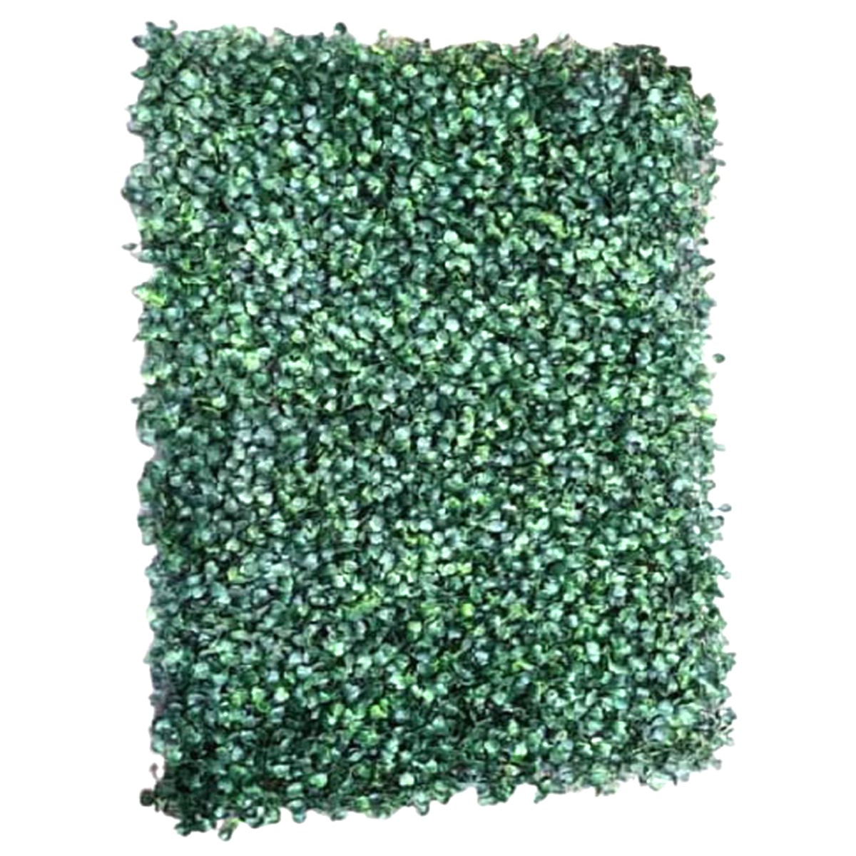 WILLOW FENCE WITH LEAVES