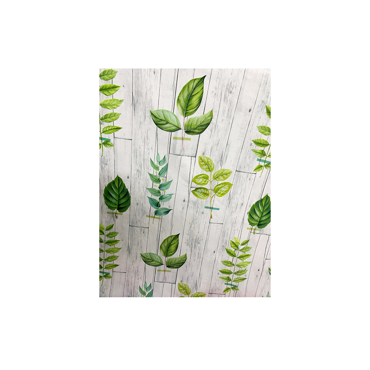 ΜΟΥΣΙΑΜΜΑΣ ΧΟΝΤΡΟΣ ΜΕ ΕΠΕΝΔΥΣΗ 5060/M