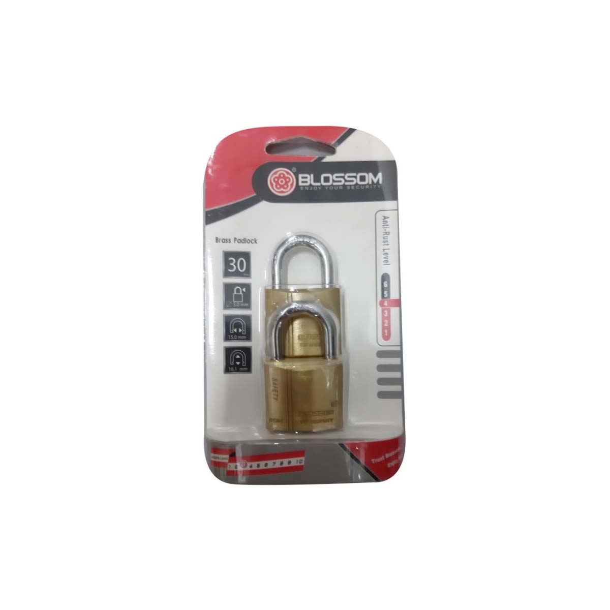 BLOSSOM PADLOCK 30X2 KA 2PCS