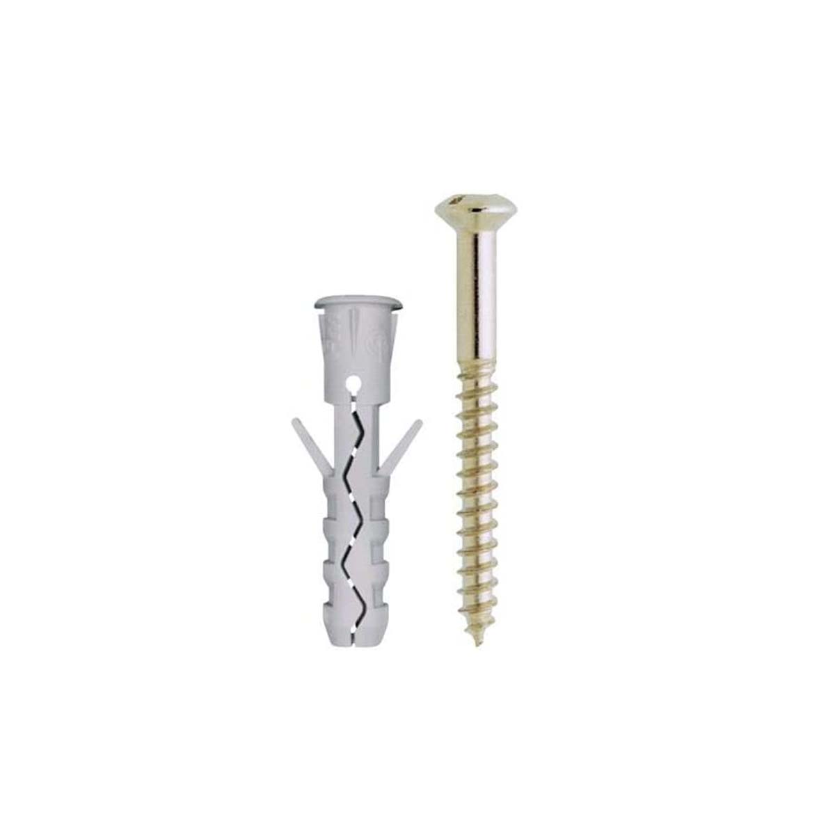 FRIULSIDER SCREW WITH DEPTH. HEAD WITH ROBLAX