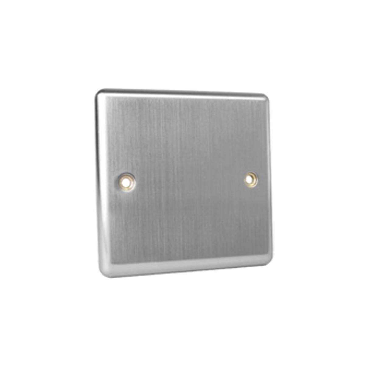 EMPTY WALL SWITCH PLATE SILVER