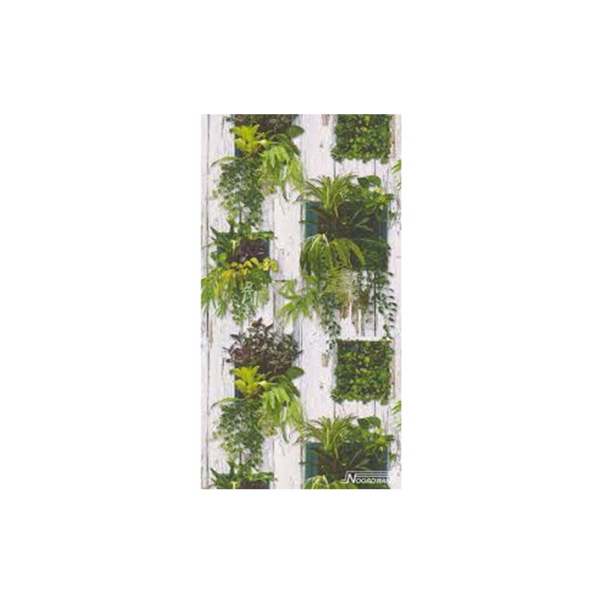 LUTECE WALLPAPER REALITY II PLANTS IN FRAMES WITH A WOODEN BACKGROUND 10X0,53M