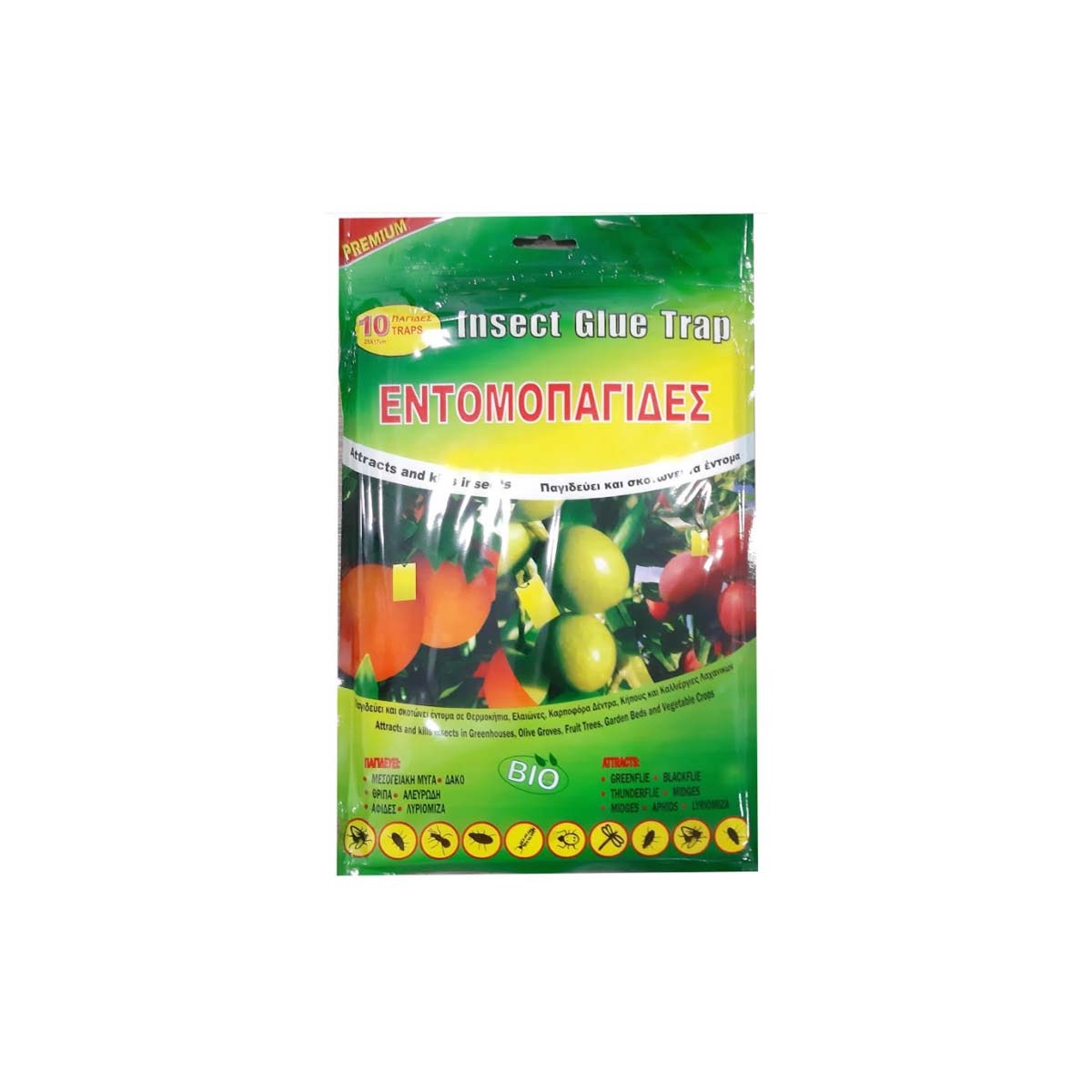 PREMIUM INSECT ADHESIVE TRAP 10