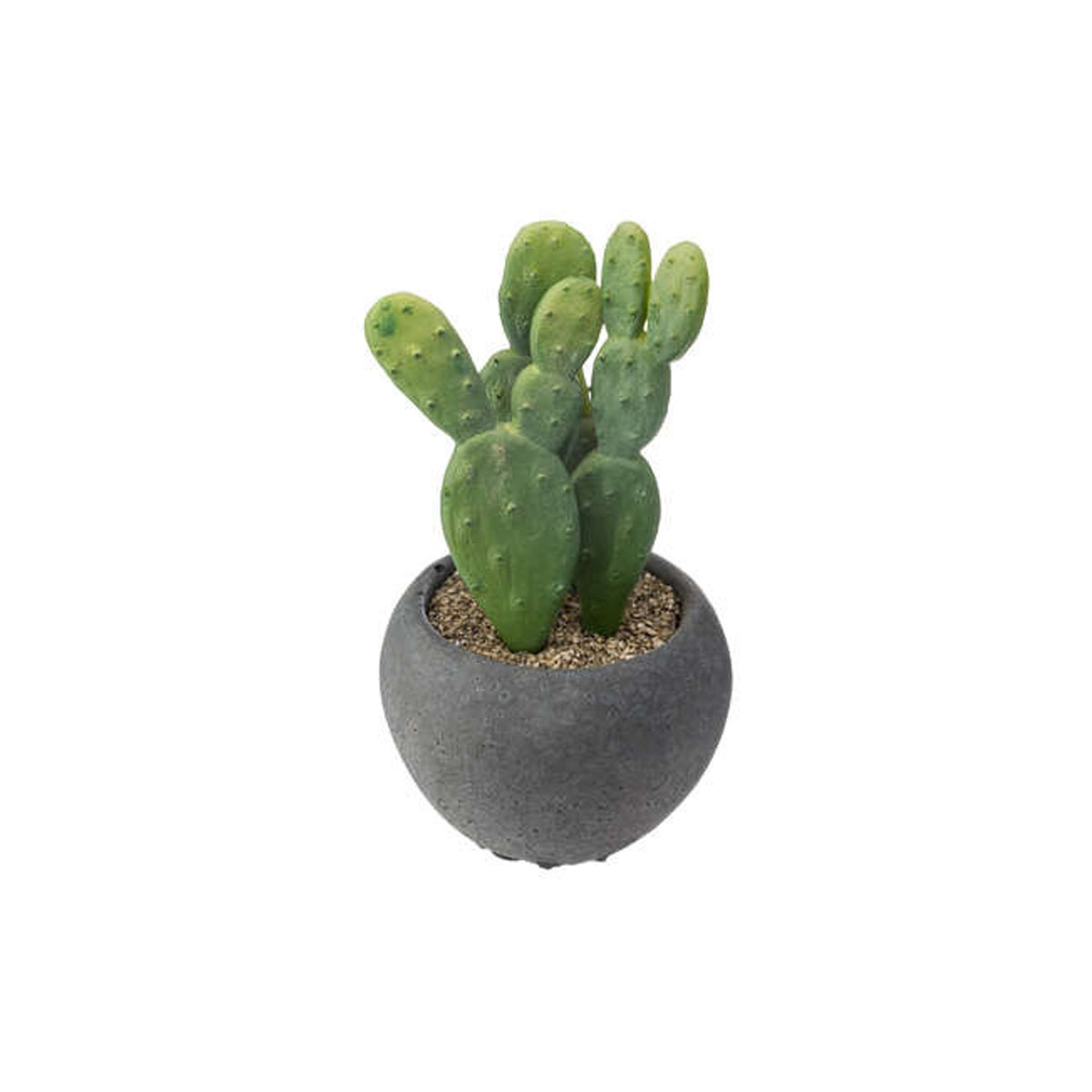 ΤΕΧΝΗΤΟΣ ΚΑΚΤΟΣ ΣΕ ΤΣΙΜΕΝΤΕΝΙΑ ΓΛΑΣΤΡΑ Φ6,5CM