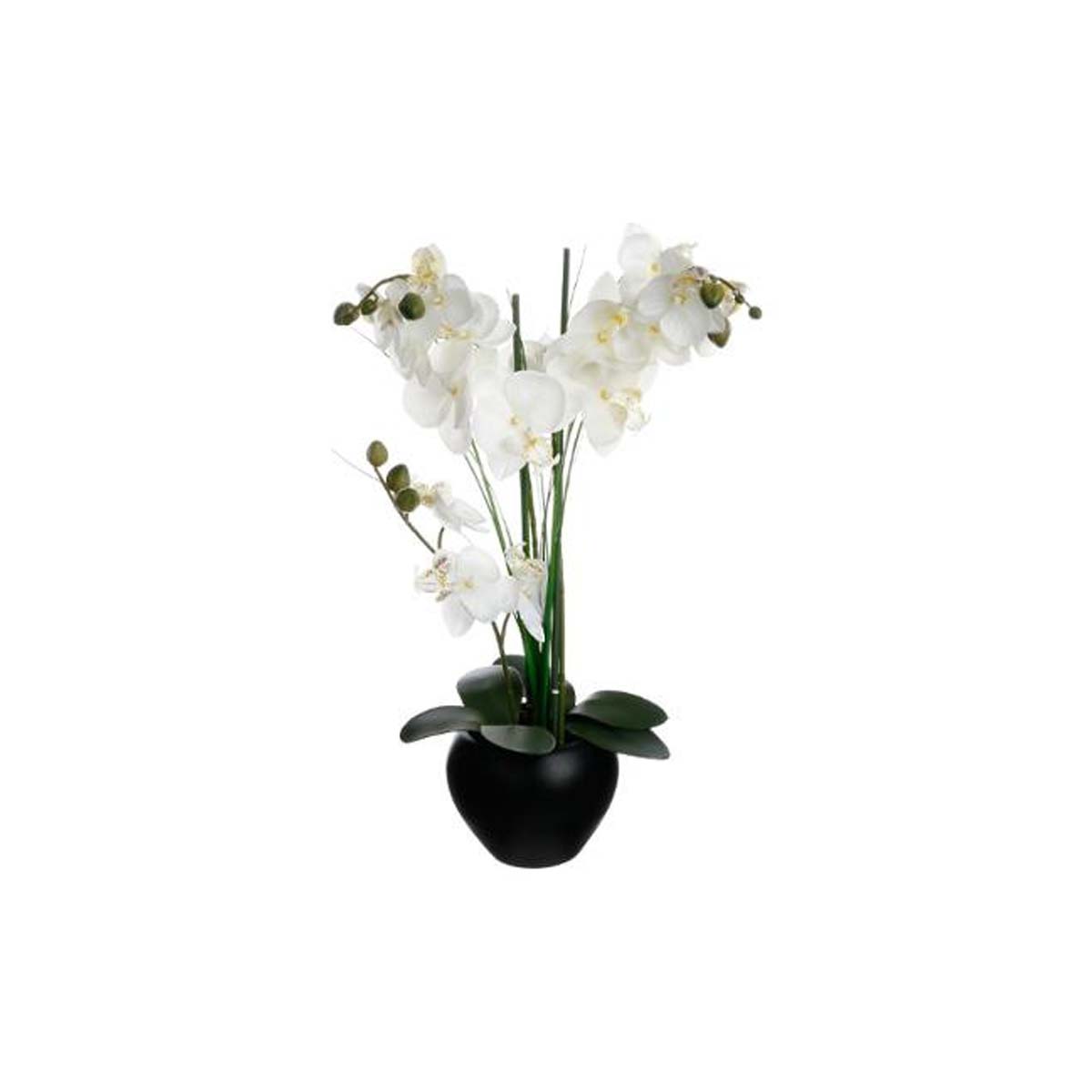 ARTIFICIAL ORCHID IN BLACK CERAMIC CUP 53CM