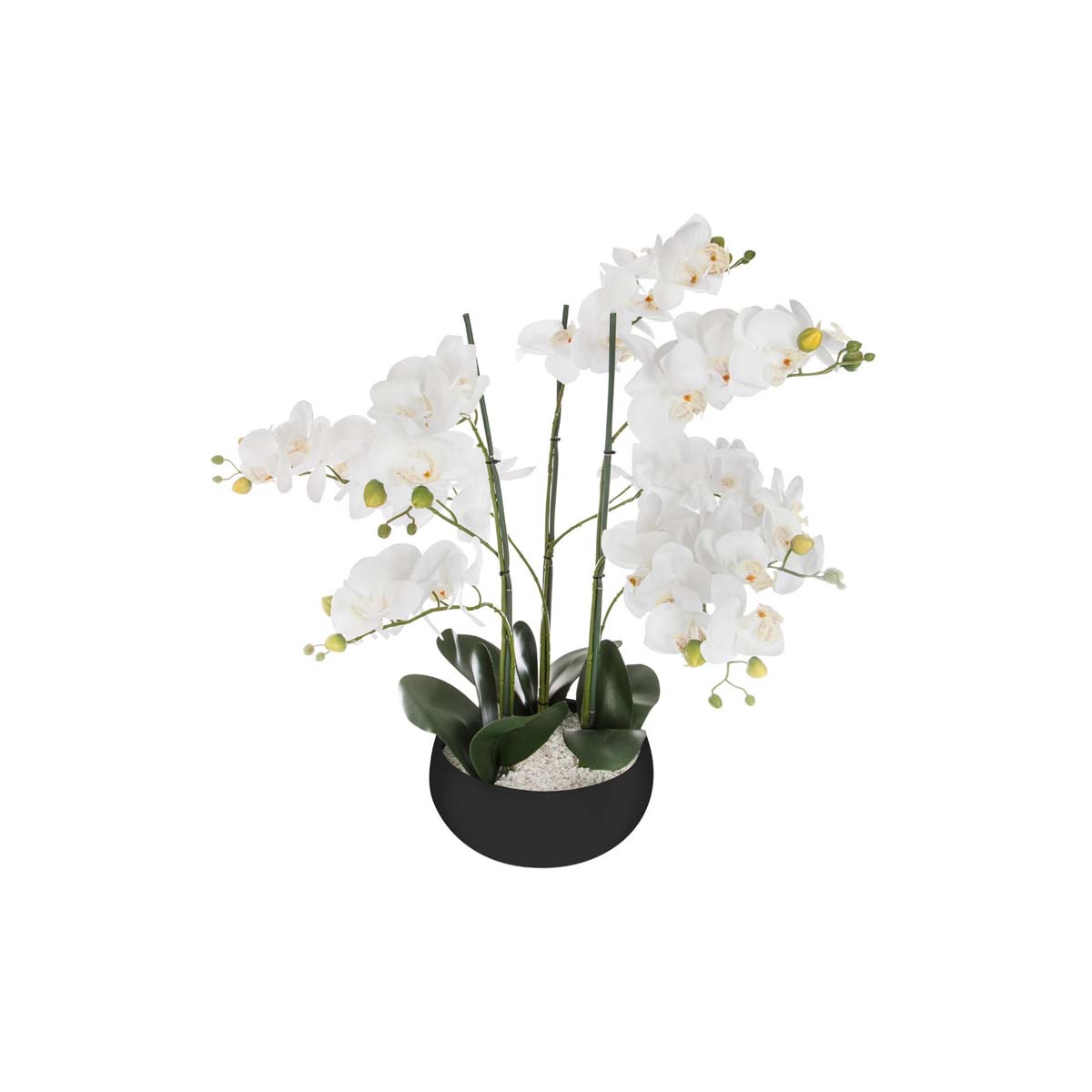 ORCHID CERAMIC POT H65CM