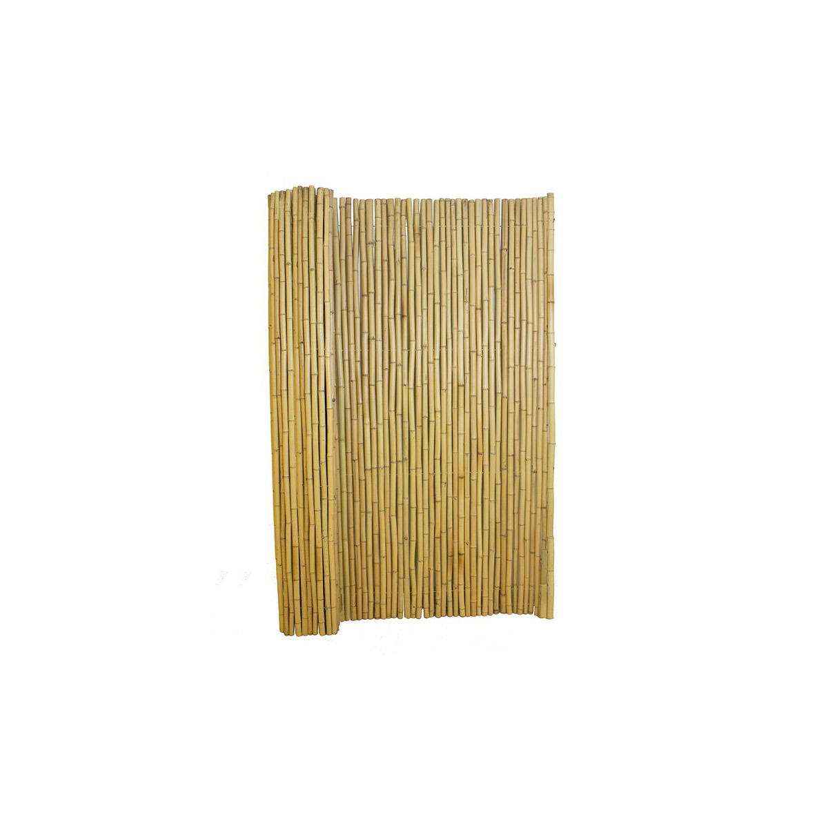 BAMBOO FENCING