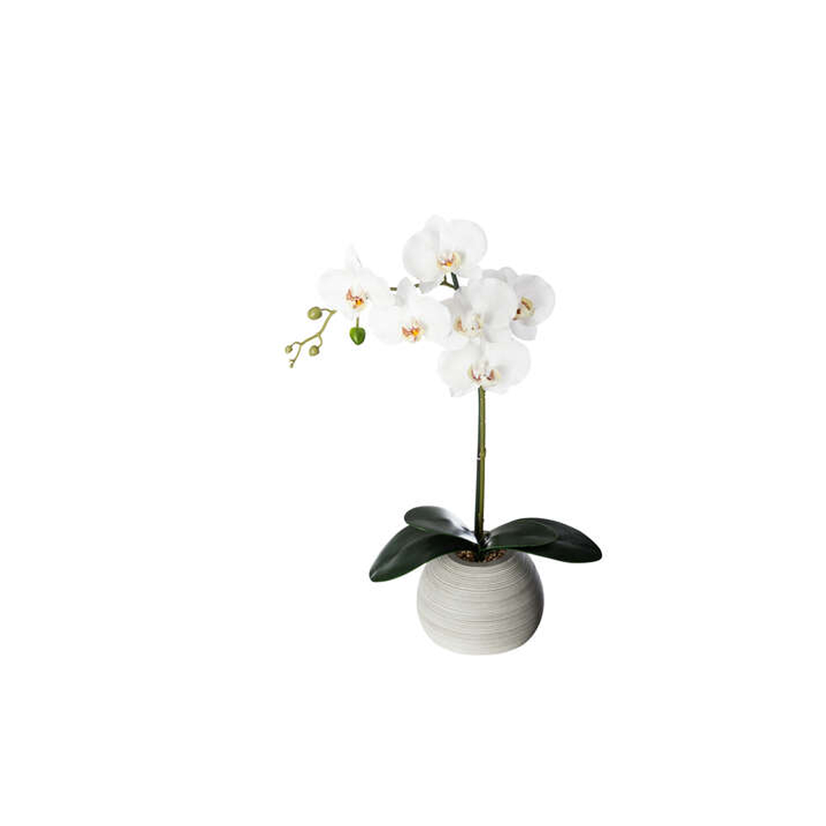 ARTIFICIAL ORCHID IN CERAMIC POT H53CM